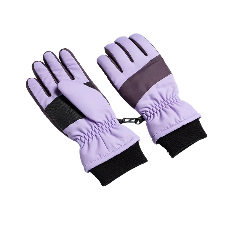 Haedus Colorblock ski Gloves